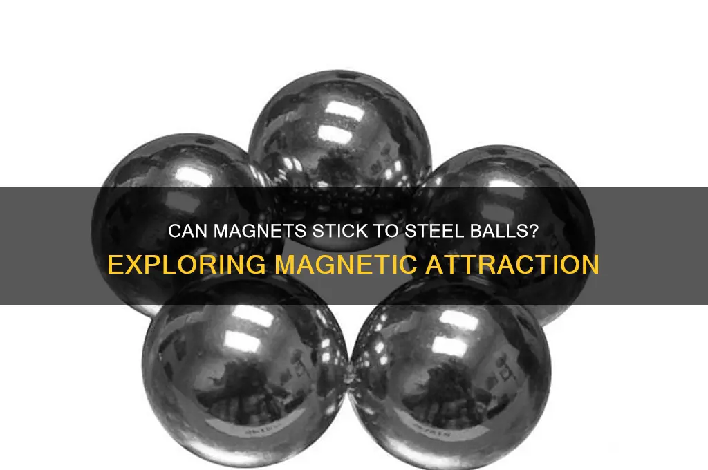 can magnet stick to steel ball
