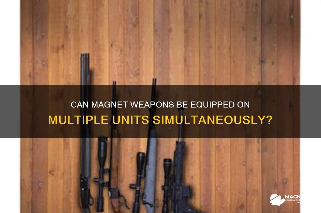 can magnet weapons be equipped on more than one