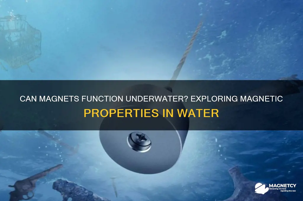 can magnet work in water