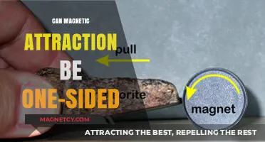 Can Magnetic Attraction Be One-Sided? Exploring Unrequited Forces