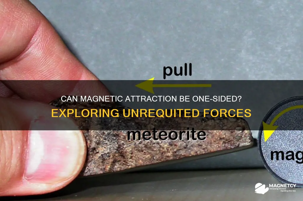 can magnetic attraction be one-sided
