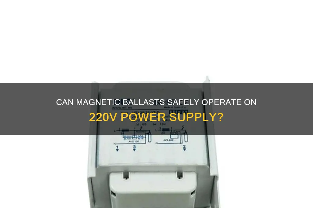 can magnetic ballast run 220v