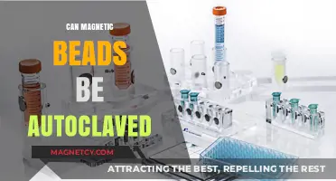 Autoclaving Magnetic Beads: Safety, Procedures, and Best Practices Explained