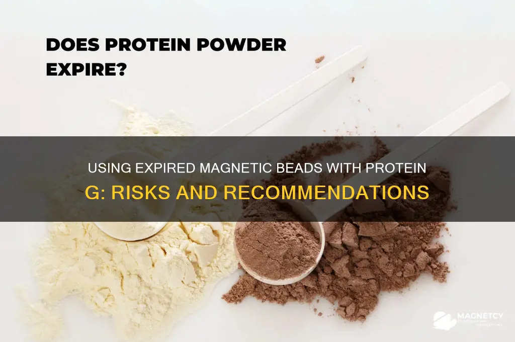 can magnetic beads with protein g be used after date