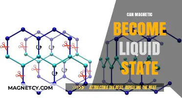 Can Magnets Melt? Exploring the Possibility of Liquid Magnetic States