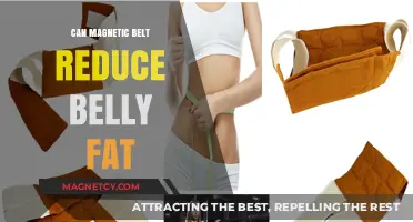 Can Magnetic Belts Reduce Belly Fat? Uncovering the Truth