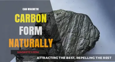 Exploring the Natural Occurrence of Magnetic Carbon: Possibilities and Evidence