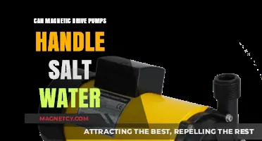 Can Magnetic Drive Pumps Handle Salt Water? Exploring Durability and Performance
