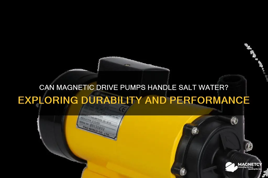 can magnetic drive pumps handle salt water