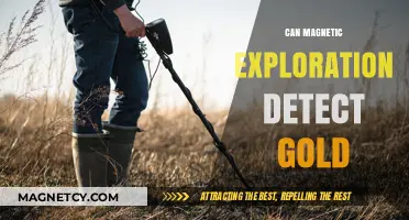 Magnetic Exploration: Unveiling Gold's Hidden Secrets Beneath the Earth's Surface