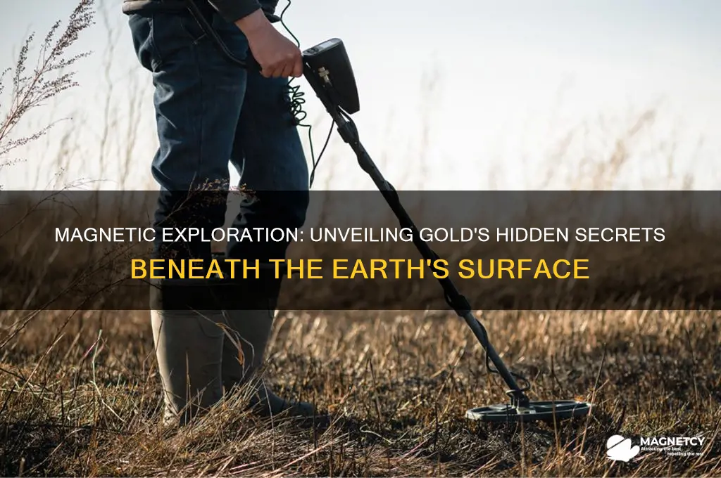 can magnetic exploration detect gold