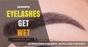 Can Magnetic Eyelashes Get Wet? Waterproof Tips and Care Guide