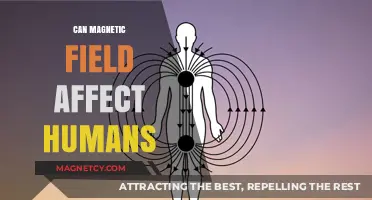 Magnetic Fields and Human Health: Unveiling the Impact and Effects