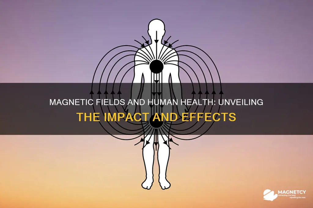 can magnetic field affect humans