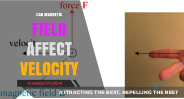 Magnetic Fields and Velocity: Exploring the Impact on Motion