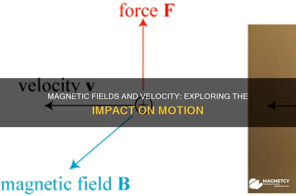 can magnetic field affect velocity