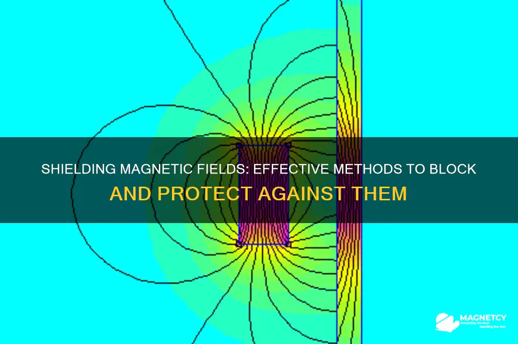 can magnetic field be blocked