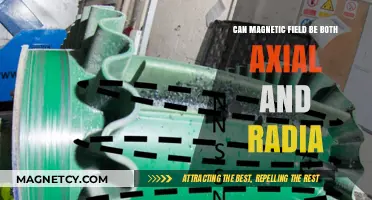 Axial and Radial Magnetic Fields: Can They Coexist in Harmony?