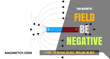 Exploring the Polarity: Can Magnetic Fields Truly Be Negative?