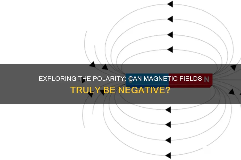 can magnetic field be negative