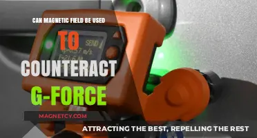 Magnetic Fields vs. G-Force: A Revolutionary Countermeasure?