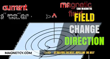Exploring Magnetic Field Direction Changes: Causes and Implications