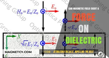 Magnetic Fields and Dielectrics: Exploring Forces in Electromagnetism