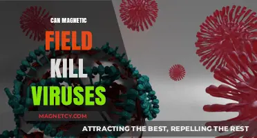 Magnetic Fields vs. Viruses: Can They Be a Deadly Weapon?