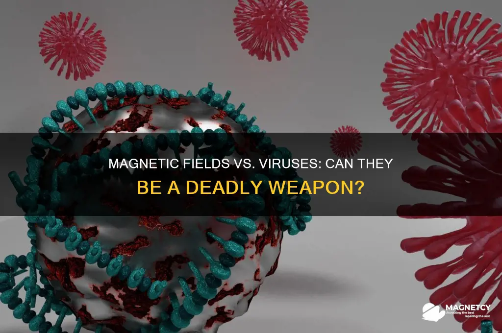 can magnetic field kill viruses
