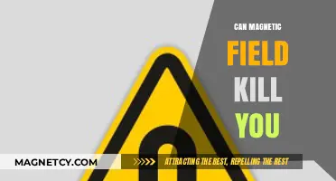 Magnetic Fields and Mortality: Can They Pose a Lethal Threat?