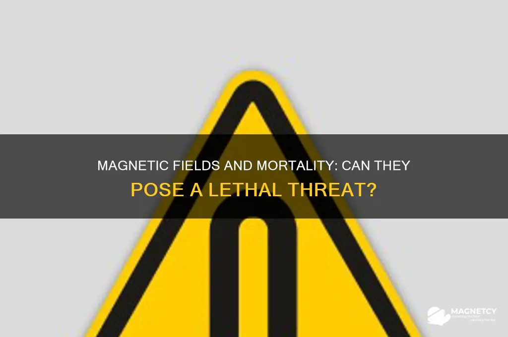can magnetic field kill you