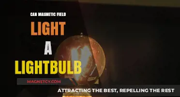 Can Magnetic Fields Power Lightbulbs? Exploring Energy Conversion Possibilities