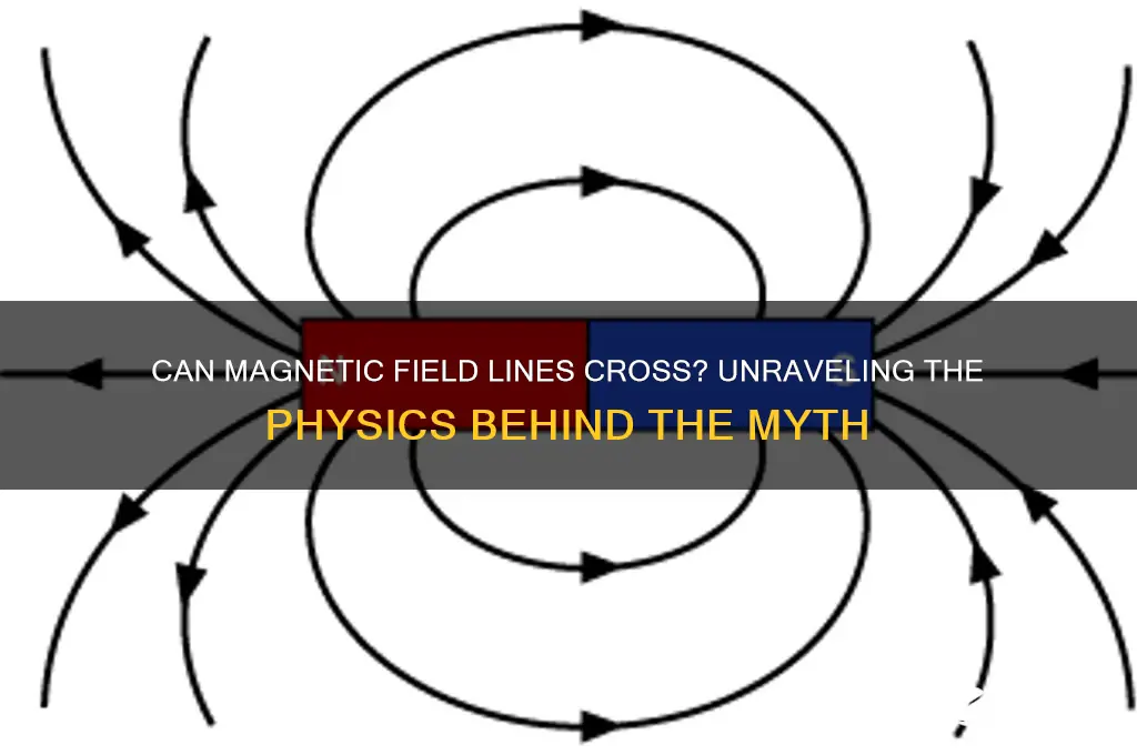 can magnetic field line cross