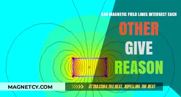 Why Magnetic Field Lines Never Intersect: A Fundamental Physics Principle