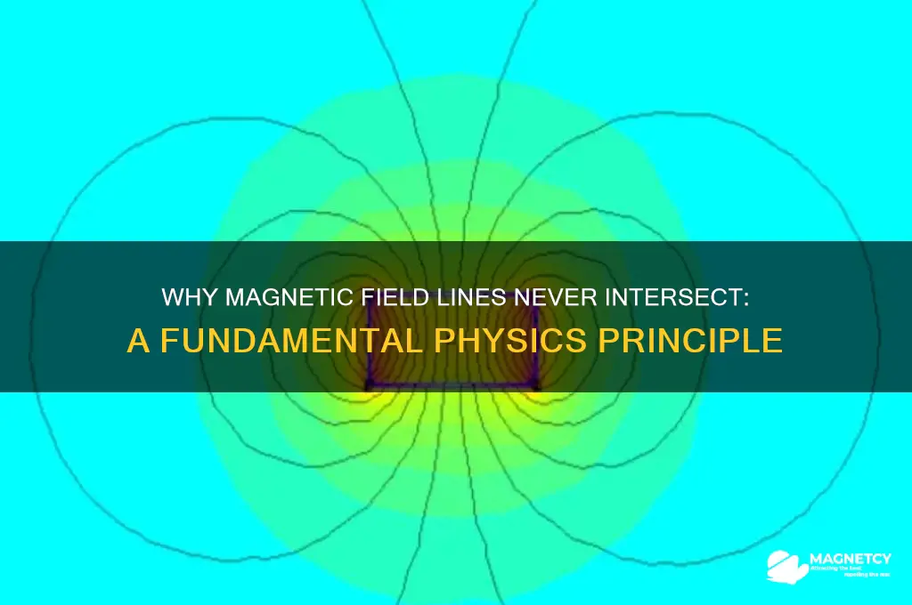 can magnetic field lines intersect each other give reason