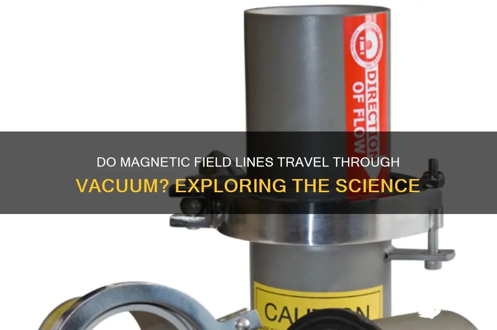 can magnetic field lines pass through vacuum
