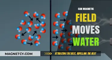 Magnetic Fields and Water Movement: Exploring the Science Behind It
