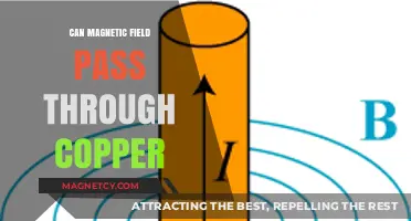 Can Magnetic Fields Penetrate Copper? Exploring Conductivity and Shielding