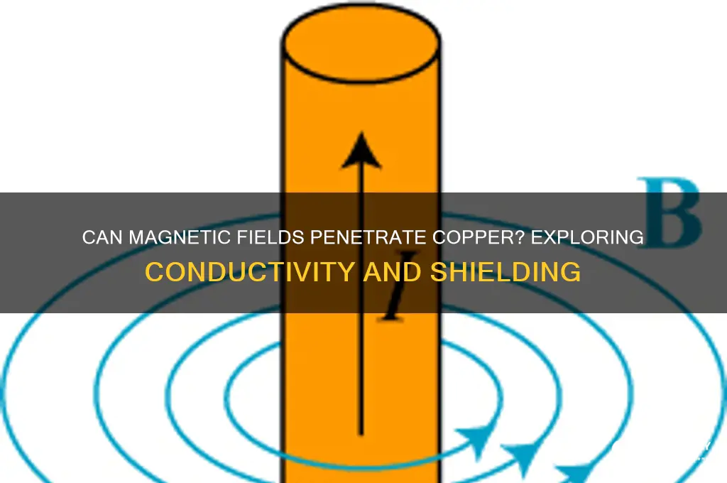 can magnetic field pass through copper