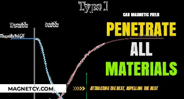 Can Magnetic Fields Penetrate All Materials? Unveiling the Truth