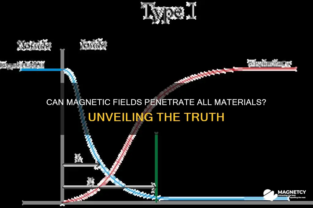 can magnetic field penetrate all materials