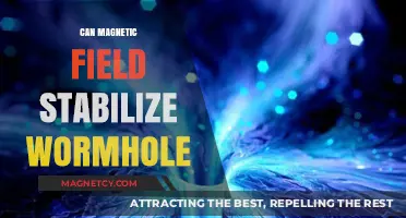 Magnetic Fields and Wormholes: A Stable Cosmic Connection?