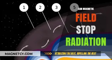 Can Magnetic Fields Shield Against Harmful Radiation? Exploring the Science