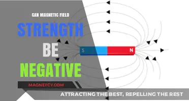 Exploring Negative Magnetic Field Strength: Possibility or Paradox?