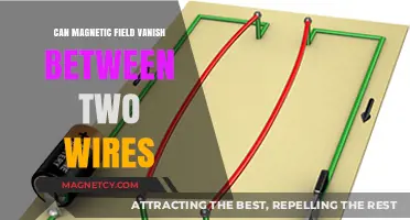 Can Magnetic Fields Disappear Between Parallel Wires? Exploring the Science