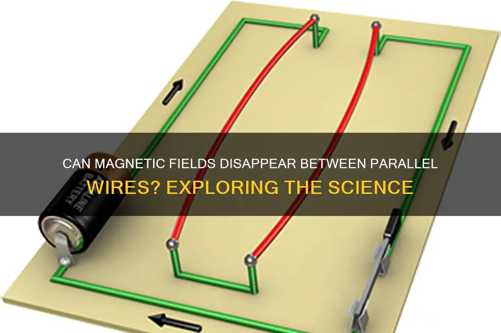 can magnetic field vanish between two wires