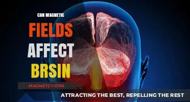 Magnetic Fields and Brain Function: Unraveling the Potential Impact