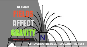 Magnetic Fields and Gravity: Exploring Their Intriguing Interplay