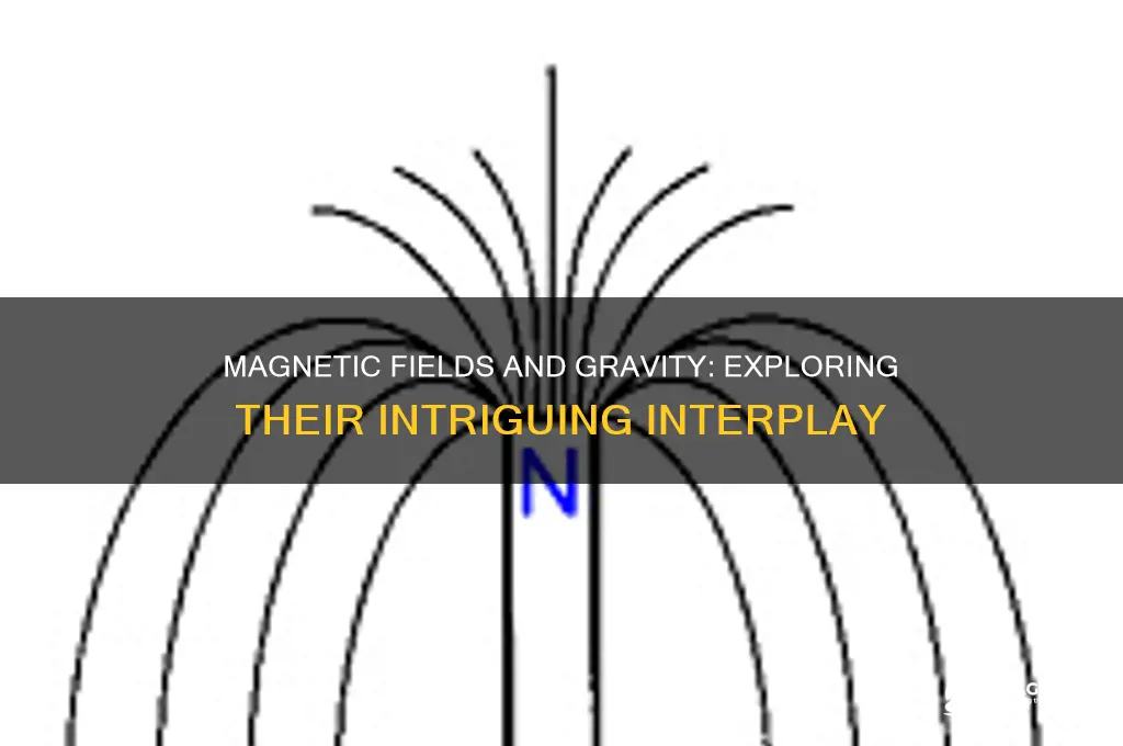 can magnetic fields affect gravity