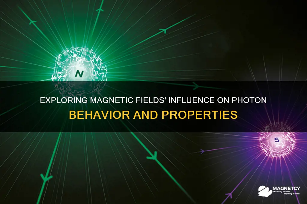 can magnetic fields affect photons